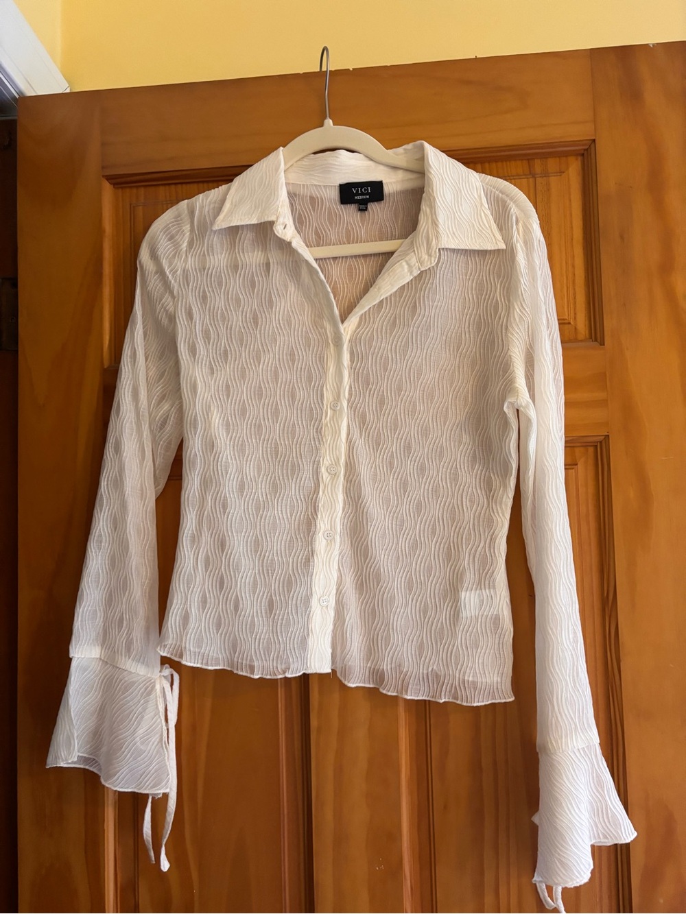 VICI Ivory Sheer Wave-Textured Button-Down Blouse